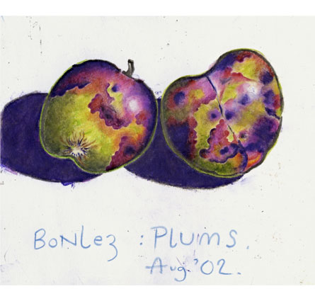 Bonlez Plums Bonlez Plums