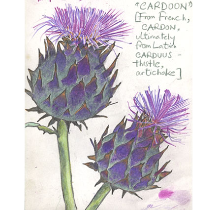 Cardoons